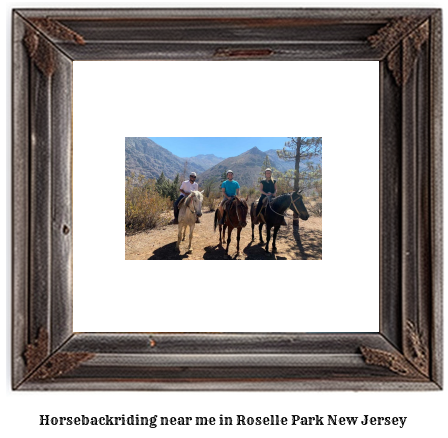 horseback riding near me in Roselle Park, New Jersey